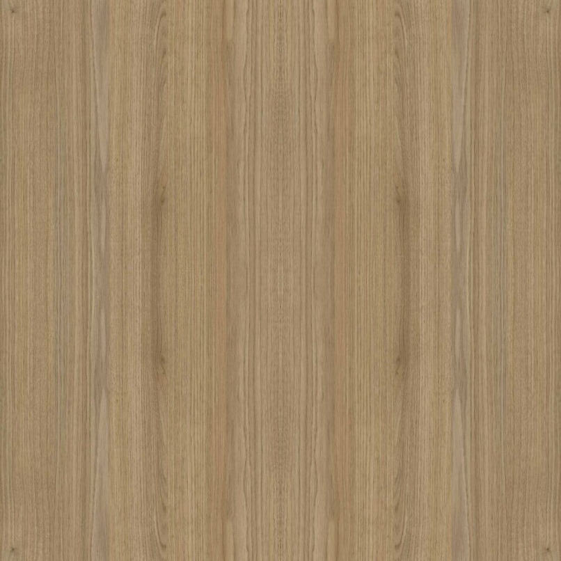 macadamia_V
